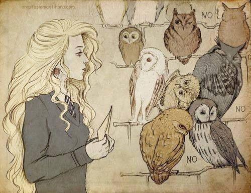 Luna and the owls